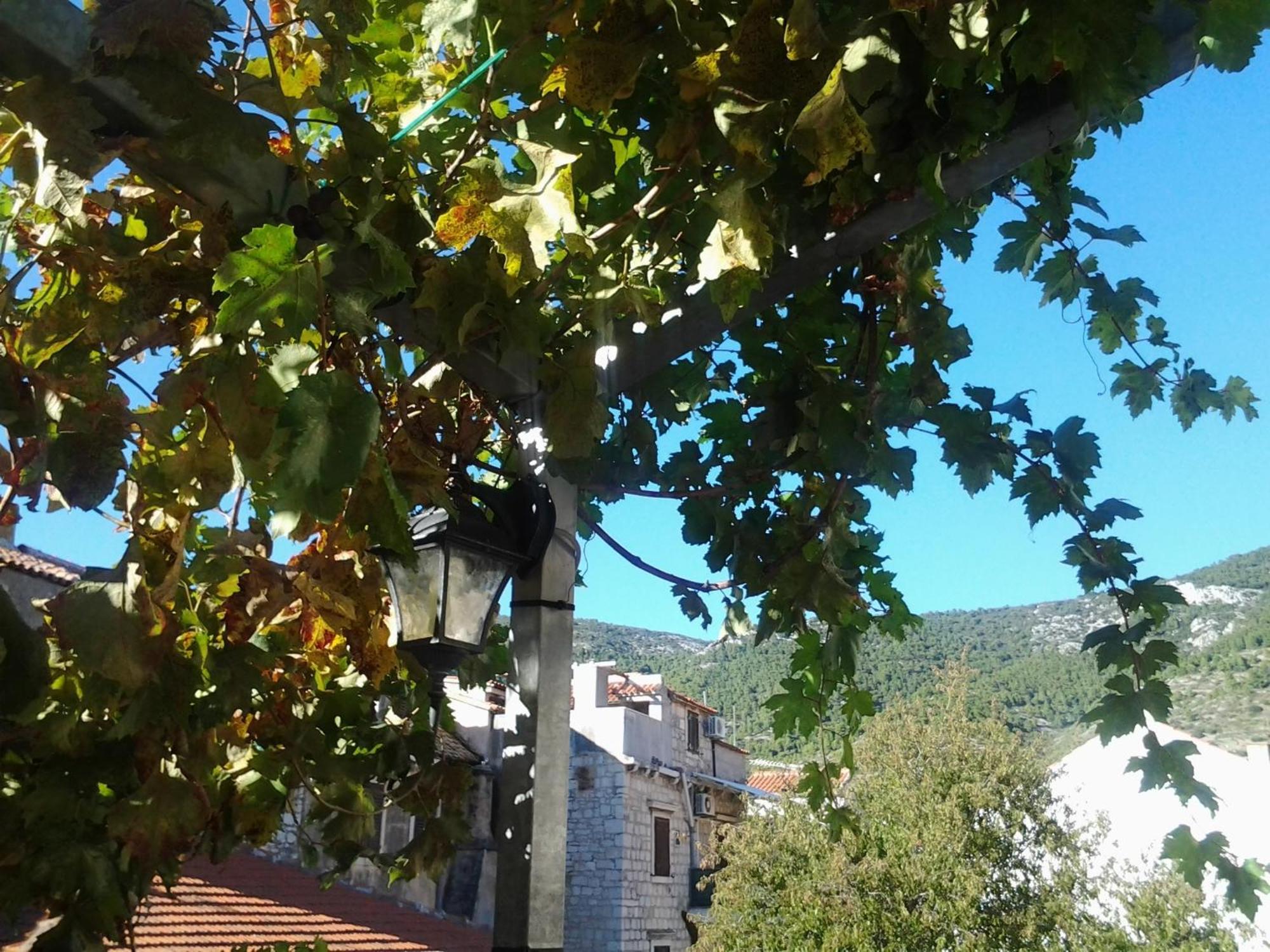 Apartments Donika Komiža Pokoj fotografie