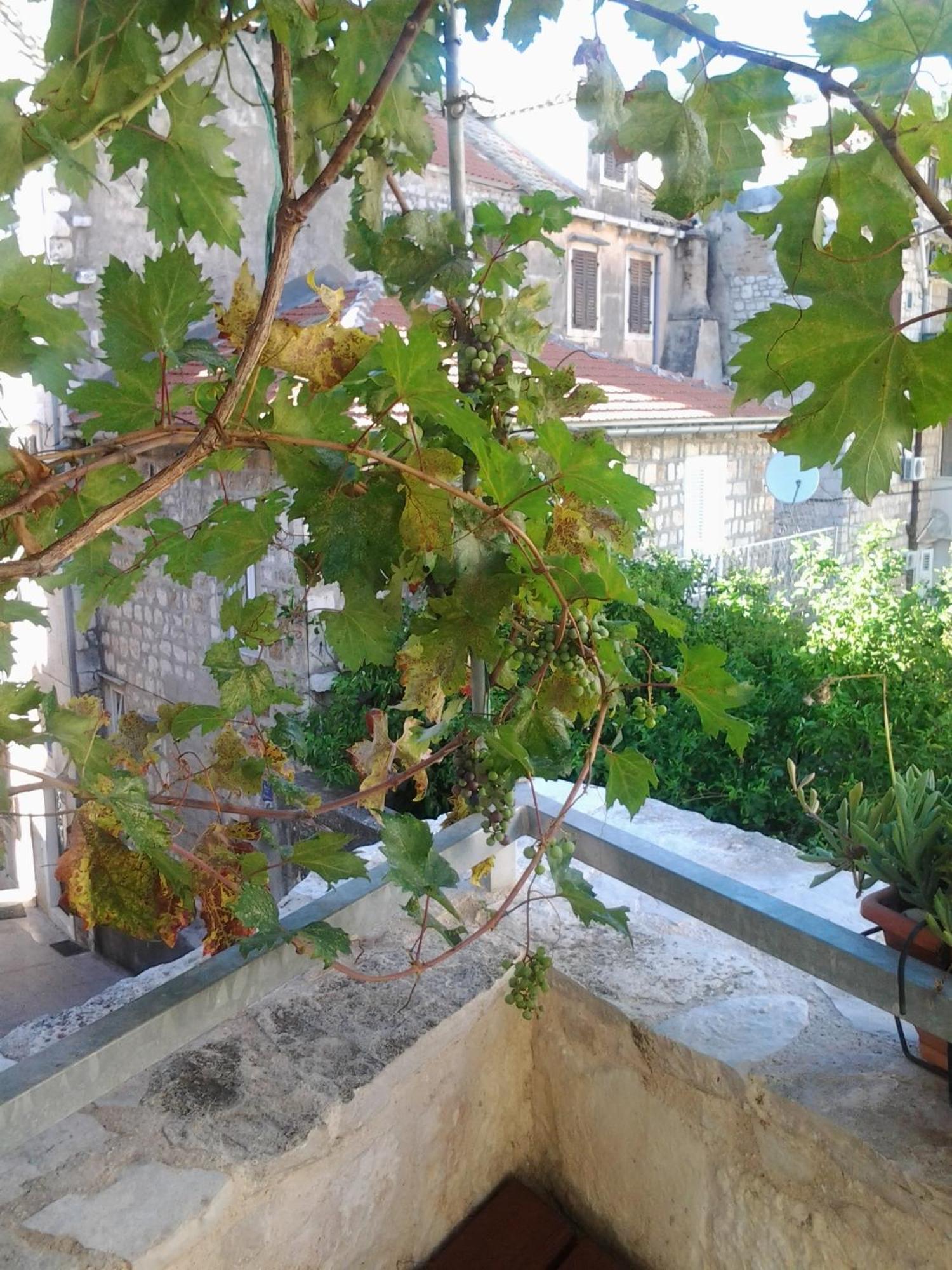 Apartments Donika Komiža Pokoj fotografie