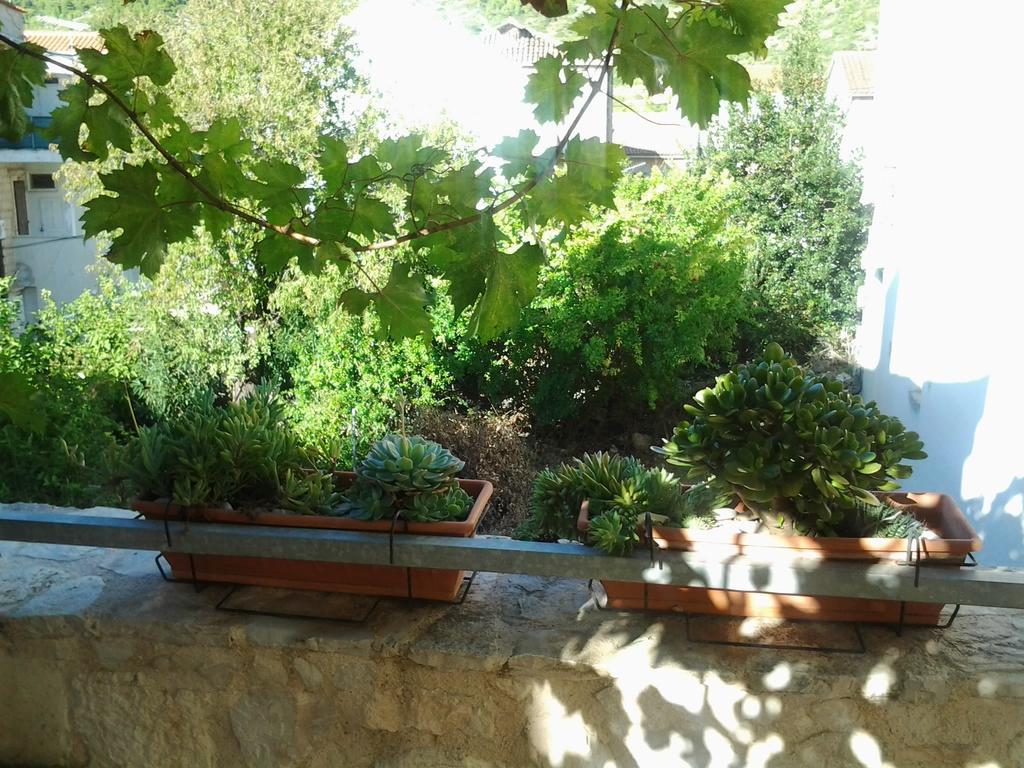 Apartments Donika Komiža Pokoj fotografie