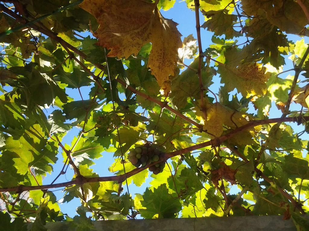 Apartments Donika Komiža Pokoj fotografie